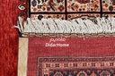 قالی قشقایی کف ساده-هدیش(۴.۷۸)